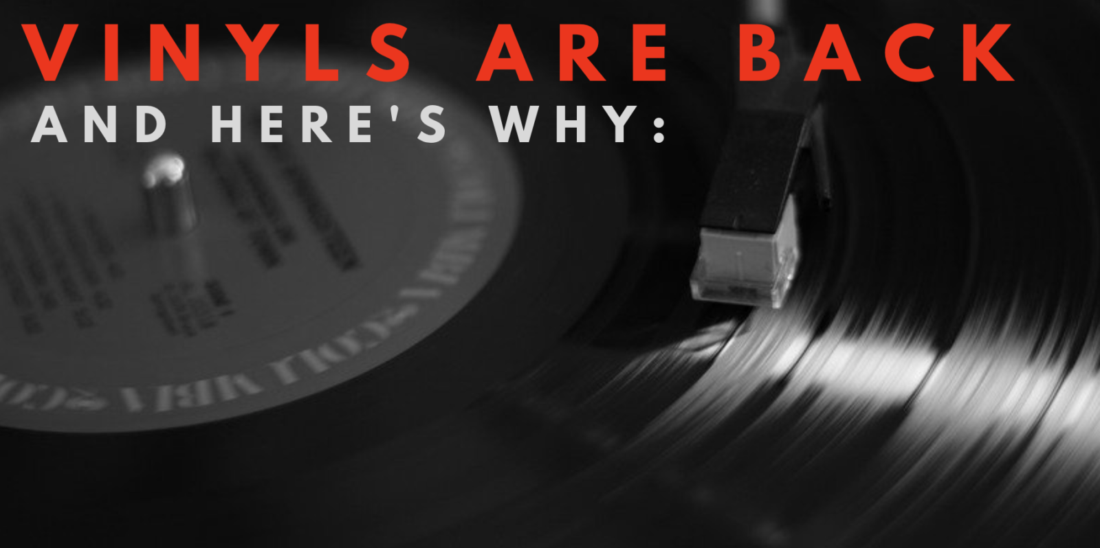 Vinyls Are Back and Here’s Why:
